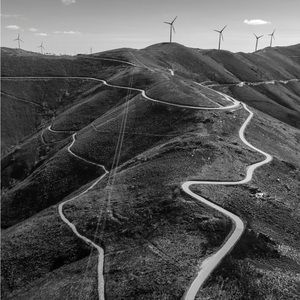 Meet your Posher, Bella